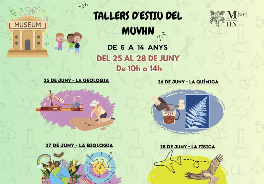 Talleres de verano del MUVHN 2024
